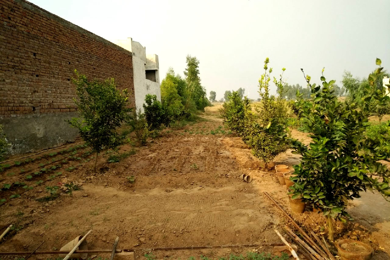 Green Oaks - upcoming property project in pakistan